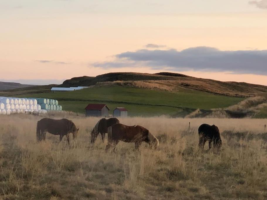 Eyvik Cottages - Private Hot Tub! Selfoss Exterior photo